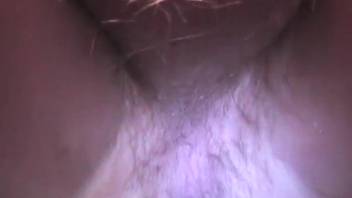 Man shoves the dog's penis into his furry buttocks in a detailed close-up XXX scene