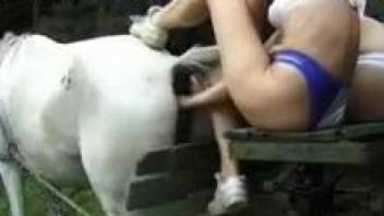Foot fuck scene with a really submissive white mare