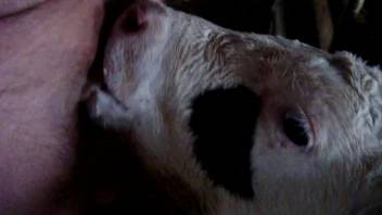 Obese bestiality enthusiast pursuing ecstasy in the farmyard
