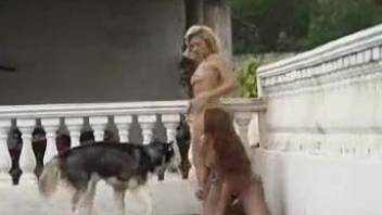 Sexy ass dolls share a dog in outdoor zoophilia tryout