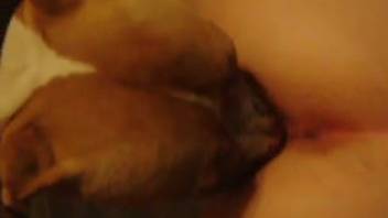 Intimate close-up blowjob scene with an extremely aroused creature