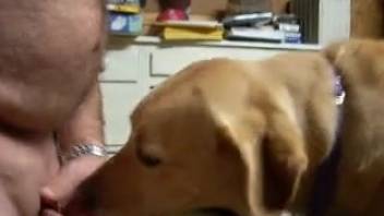 Hot female dog lapping up every inch of this chubby guy's dick