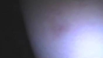 Intense pussy penetration in amateur bestiality sex scenes