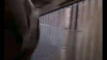 Alluring swine thrusts its penis deeply into that orifice