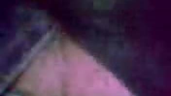 Dimly illuminated bestiality porn film featuring deviant seduction