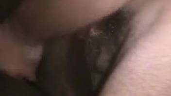 Man with a stiff shaft dominating a canine's moist orifice