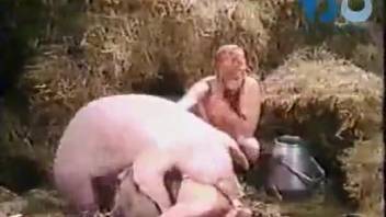 Outdoor pig fucking zoo porn with two naked females