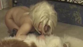 Wig-wearing babe deepthroats a dog's delicious cock