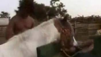 Brunette wife jizzed on face after hubby lets her fuck the horse