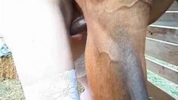 Outdoor Encounter with a Stallion and a Babe