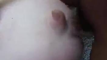 Aroused man discovers that penetrating the swine's rear is incredibly gratifying