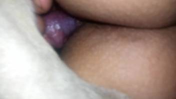 Curvy-ass chick getting screwed by a tiny-cocked mutt