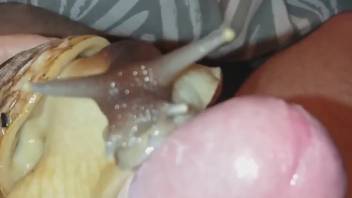 The anal enthusiast guy returns with a fresh video