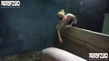Hog Bang Babe XNXX