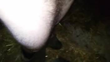 Guy banging a sexy beast's narrow cunt with his dick