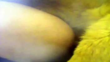 Dog cock punishing that zoophile's juicy pussy