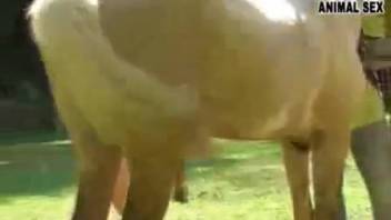 Blond slut adores the massive horse cock slamming her butt