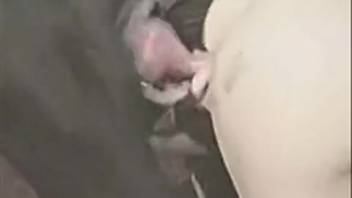 Classic bestiality footage exposes a woman's desire for canine penis