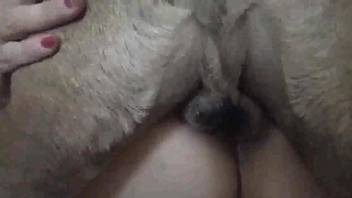Wonderful XXX video with close-up bestiality gape