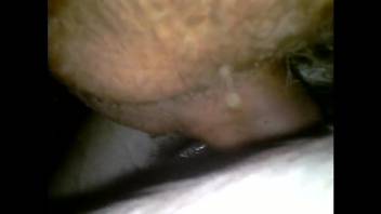 Guy inserts entire cock into mare's moist pussy and butt