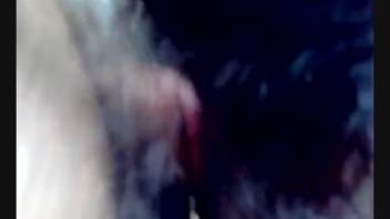 Man employs his dick to satisfy a female horse's moist vagina
