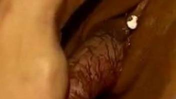 Pierced pussy babe getting fucked by a gorgeous dog dick
