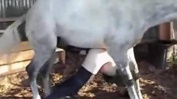 Dude's butthole getting gaped by a hung stallion