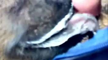 Young calf delights aroused man by sucking his stiff penis