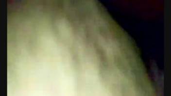 Aroused guy shoves his stiff cock into a snug canine vagina