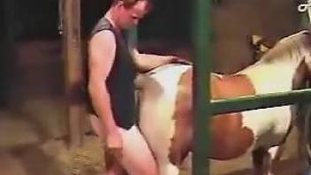Tight mare pussy getting fucked by a zoophile