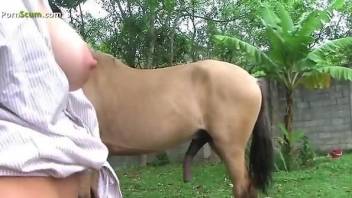 Endless cock sucking on the horse's massive dong