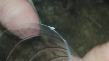Guy masturbates as a spider crawls over his hard cock