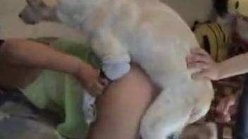 Dog humps female in the pussy and ass then splashes sperm on her