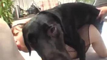 Asian babe adores the sensation of canine cock in her pussy