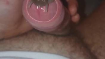 Horny man masturbates with snails over his whole dick