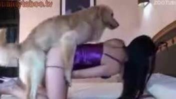 Furry porn at home with a cam girl and her trustful friend