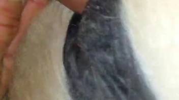 Guy sporting a penis ring screws a obedient wild sub