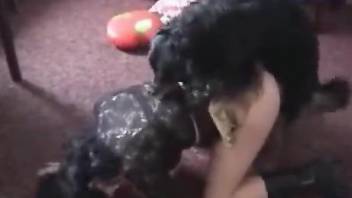 Brunette in black getting pounded hard by a dog