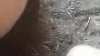 Guy banging a super hot barnyard creature from the rear