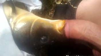 Guy screws fish