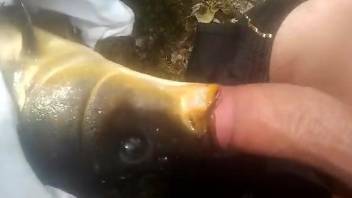 Dude fucking a fish's mouth in a hardcore scene