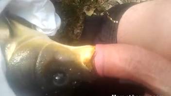 Guy pounding a fish's mouth in an explicit encounter