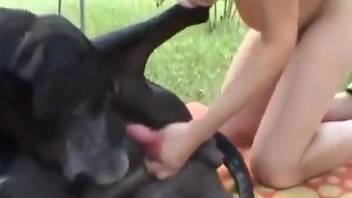 Pregnant lady with a hot hole riding a dog's dick
