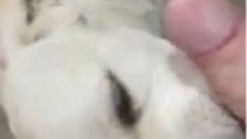 Guy rams his erect dick into the mouth of a freaky wild woman