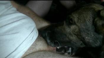 Dude throat-fucking a submissive beast on camera