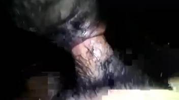 Guy with a bushy dick screwing a hot ebony canine