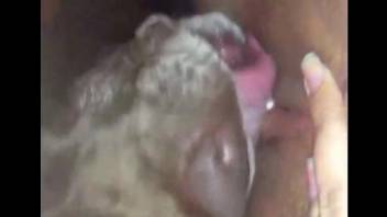Aroused women share erotic moments with dogs