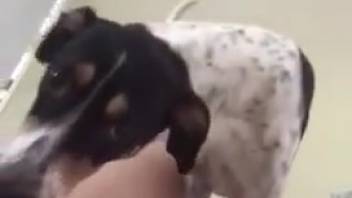 Attractive lady secretly recorded during bestiality encounters