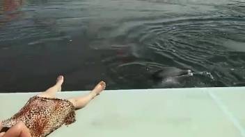 Older woman gets turned on as the dolphin thrusts against her slightly