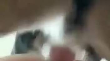 An extremely aroused beast screwing a narrow orifice doggy-style
